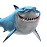 Profilbild von Bruce