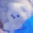 이지🧸ྀི's profile picture