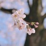 Фото профиля ぬの 一級建築士勉強垢