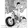 toru 的头像