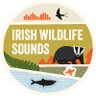 Irish Wildlife Sounds (Seán Ronayne) 的头像