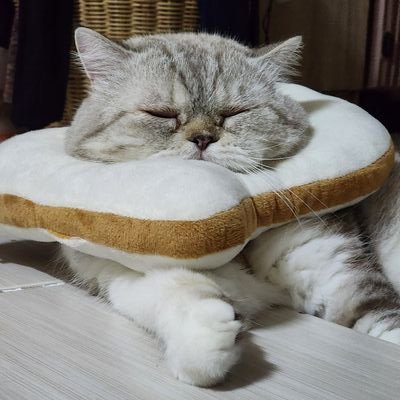 🌱คะน้าาา's profile picture
