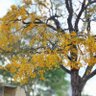 Фото профиля Yisinho