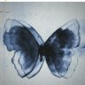 Nics's profile picture