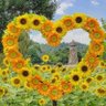 ꧁༺💟 قلـب أبيض 💟༻꧂ profil fotoğrafı