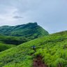 ಅವ್ರೆಕಾಳ್ ಉಪ್ಪಿಟ್ಟು 的头像