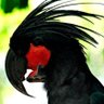 Фото профиля saike