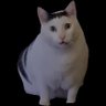 Profilbild von Rodolfo_Sillig