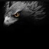 blackeagle 👁️🗨️ profil fotoğrafı