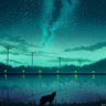 lty 的头像