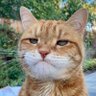 🏳️🌈🏳️🌈NTizzle🏳️🌈🏳️🌈's profile picture