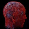 Defessus Lux 的头像