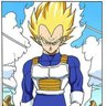 Vegeta da Prince profil fotoğrafı