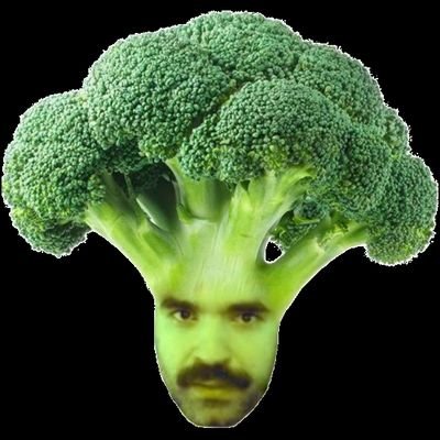 PACO's profile picture