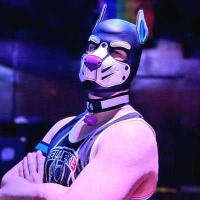 GassyConPup's profile picture