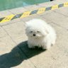 BaekSu profil fotoğrafı