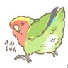 Profilbild von まつかぜ(きみちゃん🍑おちり)日本ちりグラフ協会所属/ちりグラファー