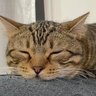 SKP profil fotoğrafı