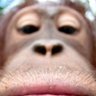 Profilbild von かねださん