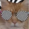 Profilbild von BowFred_