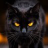 Profilbild von RevenantWriter