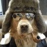 Robert Butkiewicz's profile picture