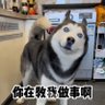问道书山 profil fotoğrafı