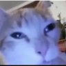 ☆Pistache☆'s profile picture