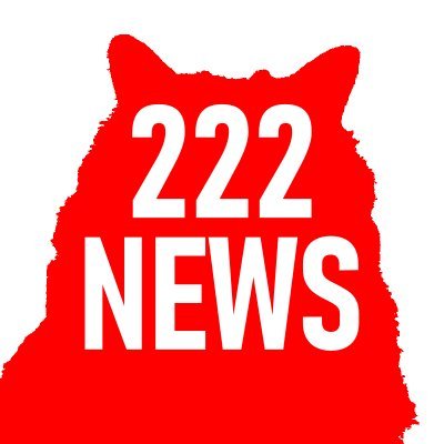222NEWS【ポポとソラ】's profile picture