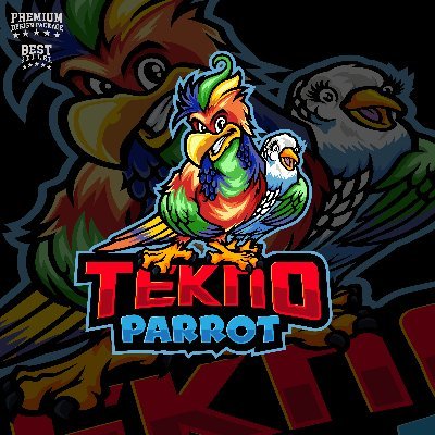 TeknoParrot's profile picture