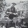 Pablo Mayo Morgado profil fotoğrafı