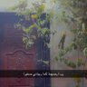 Фото профиля خوخه