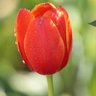 Фото профиля sen ben