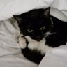 Martin's profile picture