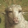 Profilbild von lamb 🐑