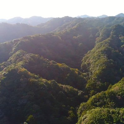 kamogawa_mamoru's profile picture