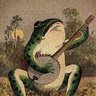 Froggy Fables's profile picture