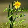 Фото профиля أبو عبدالعزيز الصالح