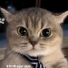 Luka profil fotoğrafı
