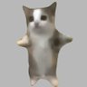 Profilbild von 猫ミームアプリ！
