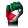 ننتصر أو ننتصر 的头像