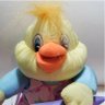 GianniTortellini profil fotoğrafı