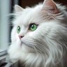 来世は適当な猫がいい's profile picture