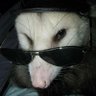 Profilbild von gabriel