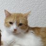 olafitoelmejor 的头像