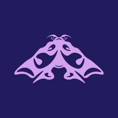 metamorphosis's profile picture