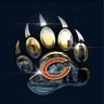 BEARS N HAWKS's profile picture