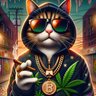 Profilbild von Blue Monkey 🥦