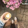 Aisha_Marshed 的头像
