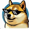 Doge's profile picture